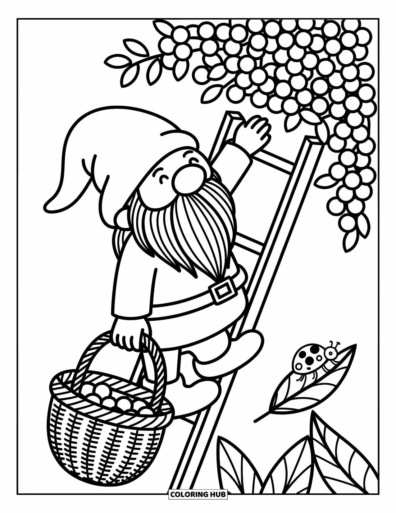 Desen de colorat cu gnom pentru adulți: Un gnom care adună fructe de pădure cu un coș în timp ce o buburuză se târăște în apropiere