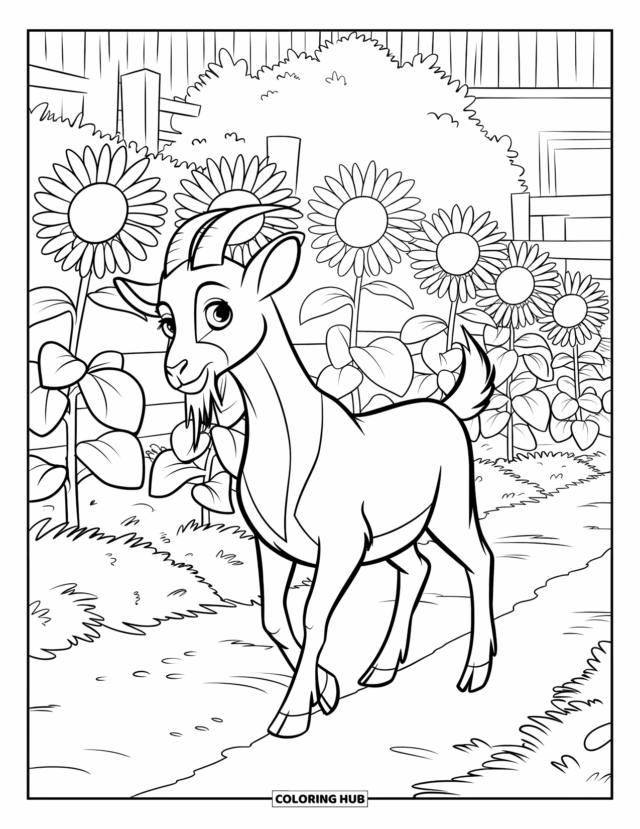 Disegno di una capra per bambini: Una capra passeggia lungo un sentiero sterrato accanto ad alti girasoli