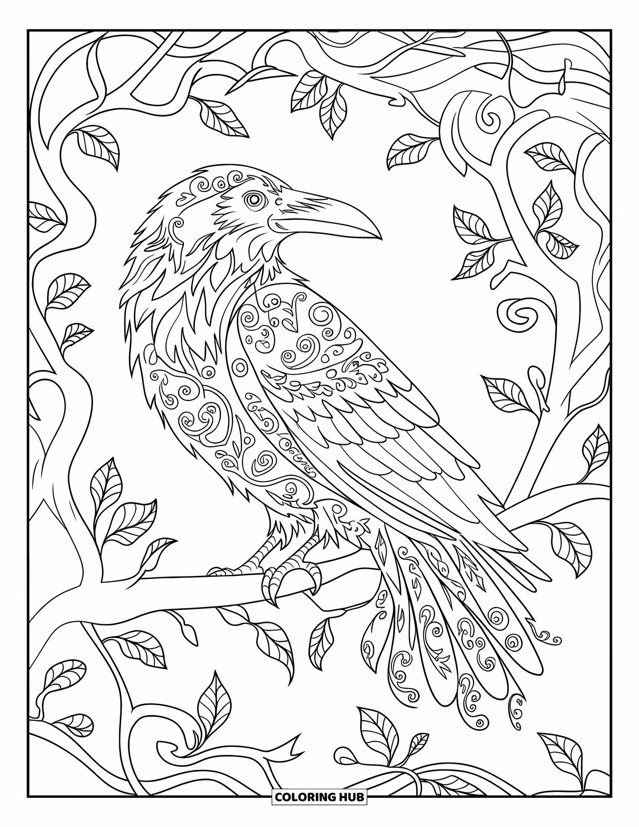 Kolorowanka na Halloween dla dorosłych: Kruk z wirującymi, przypominającymi pnącza piórami siedzi na gałęzi otoczonej skomplikowanymi wzorami