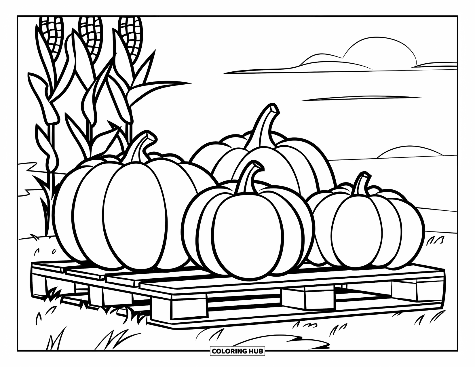 Kolorowanka na Halloween dla dzieci: Starannie ułożone dynie leżą na drewnianych paletach, czekając na zbiory