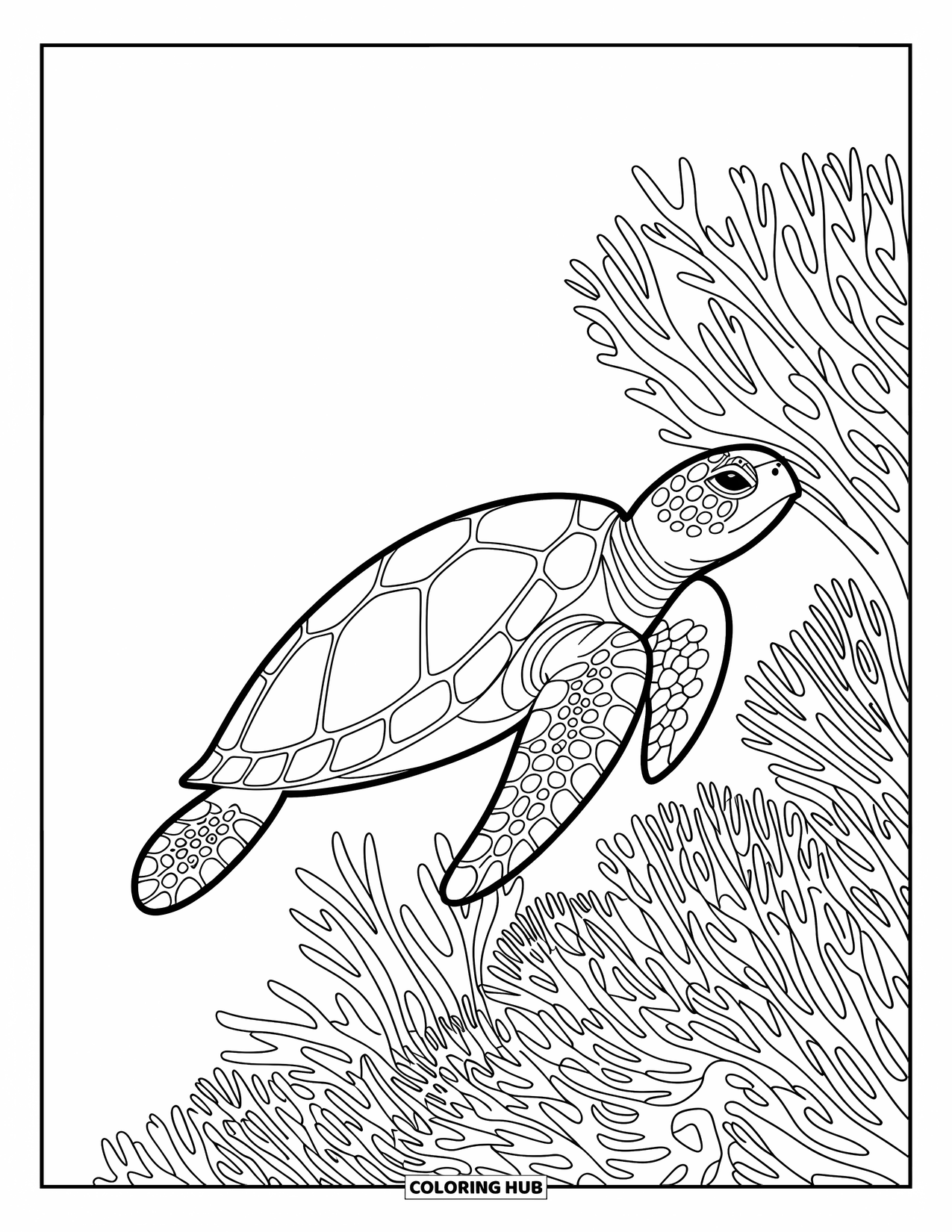 Hawaii Kleurplaat voor volwassenen: Een zeeschildpad die sierlijk zwemt tussen ingewikkelde koraalpatronen