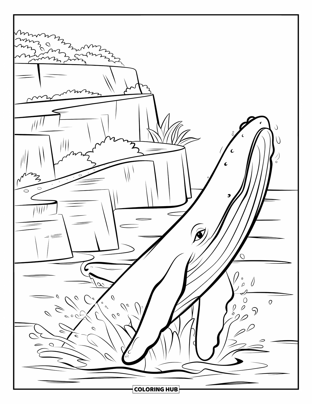 Hawaiiaanse kleurplaat voor kinderen: Een walvis die bij kliffen springt met waterdruppels eromheen
