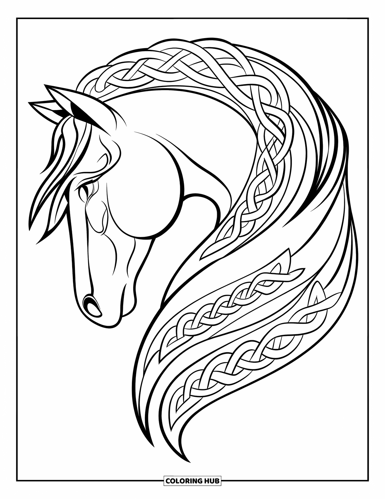 Horse Coloring Page for Adults: A horse's head has a mane of woven Celtic knots on a white background