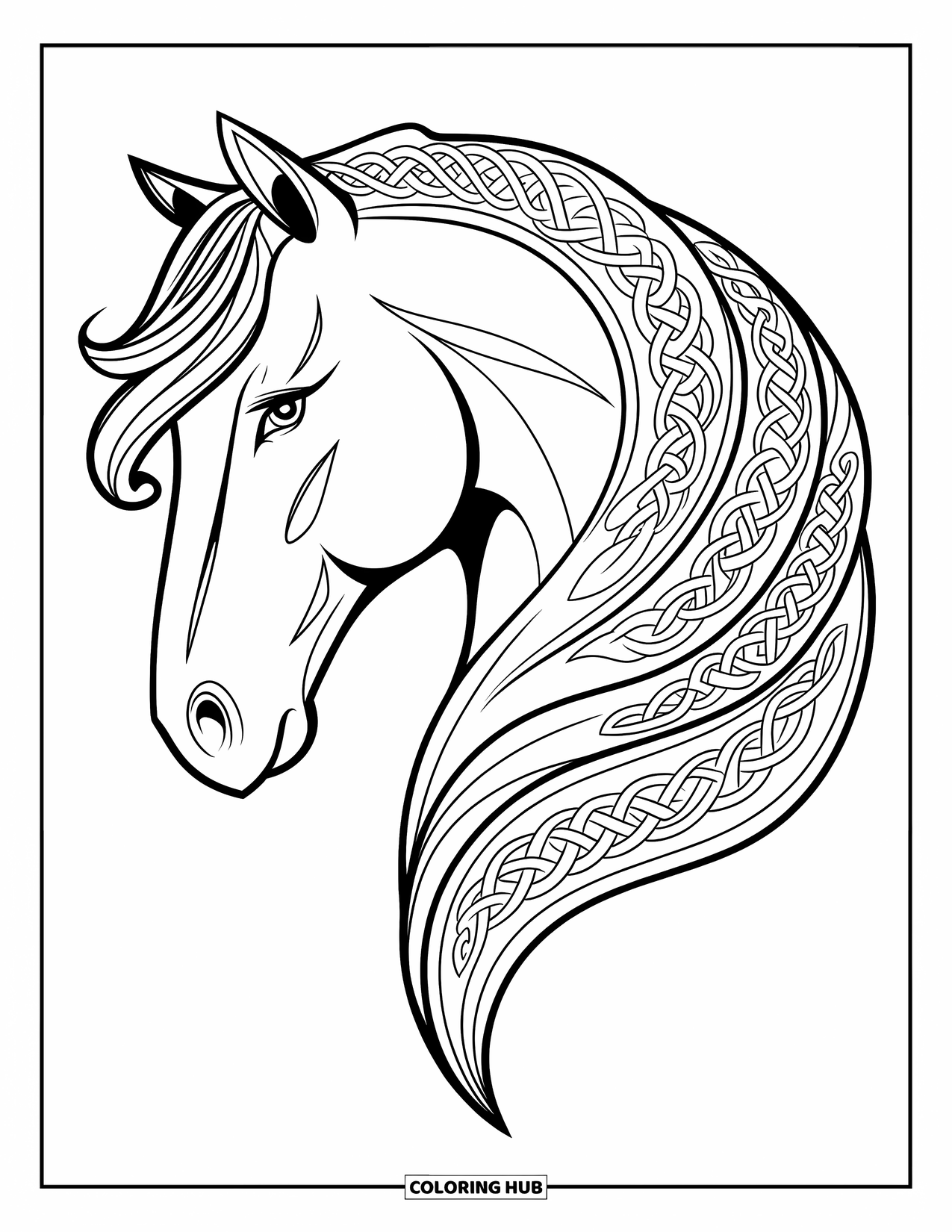 Horse Coloring Page for Adults: A horse's head with a Celtic knot mane stands out against a white background