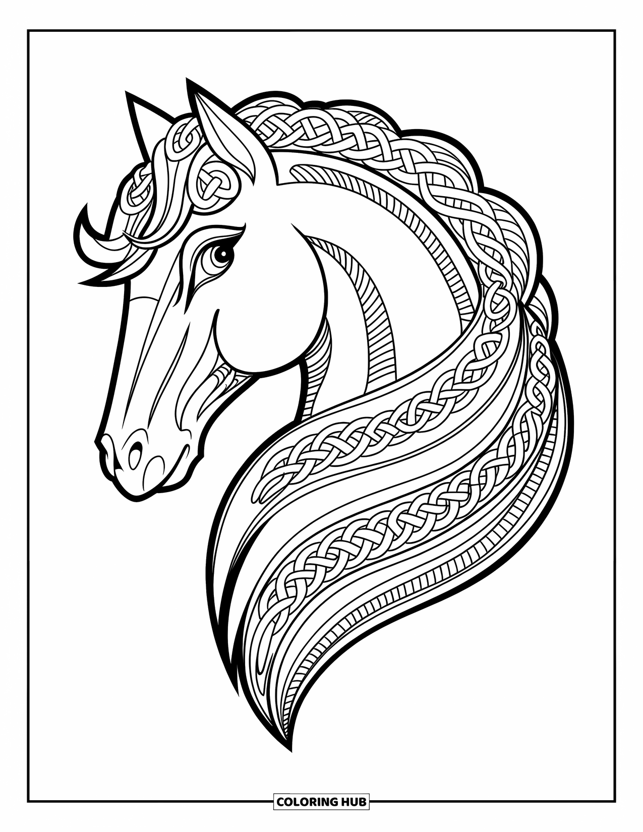 Horse Coloring Page for Adults: A horse's head with a knotwork mane has intricate circles and spirals
