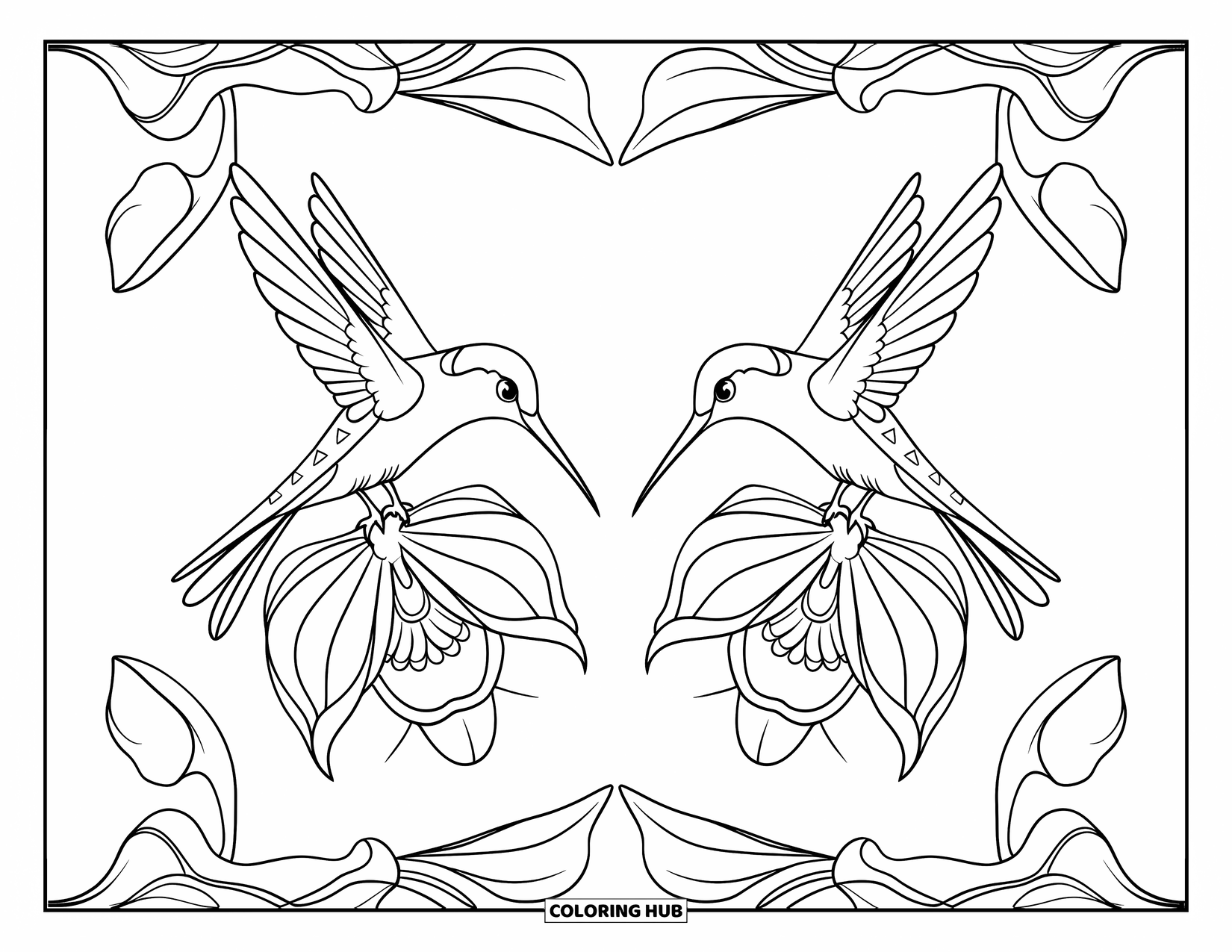 Kolibrie Kleurplaat voor Volwassenen: Een kolibrie en bloem vormen een spiegelbeeld in een eenvoudig ontwerp