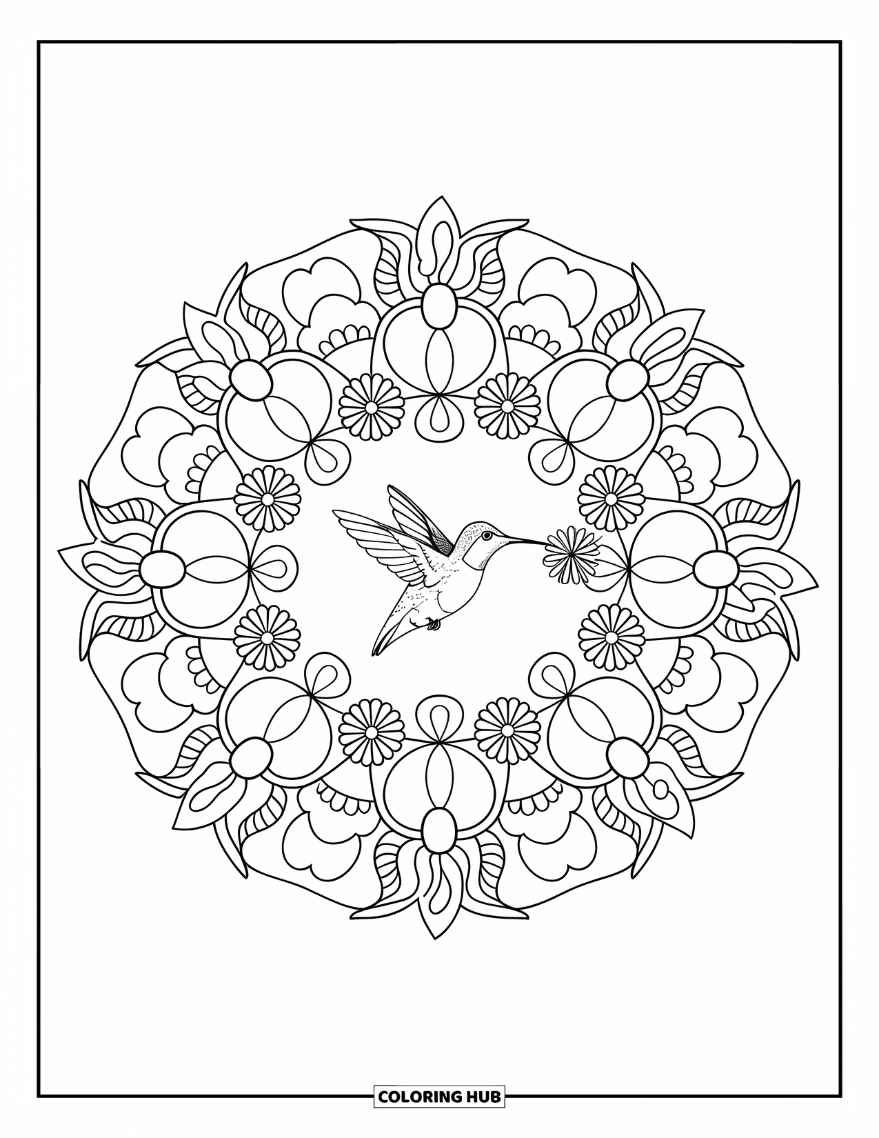 Kolibrie Kleurplaat voor Volwassenen: Een kolibrie glijdt naar een bloem in een gedetailleerde bloemenmandala