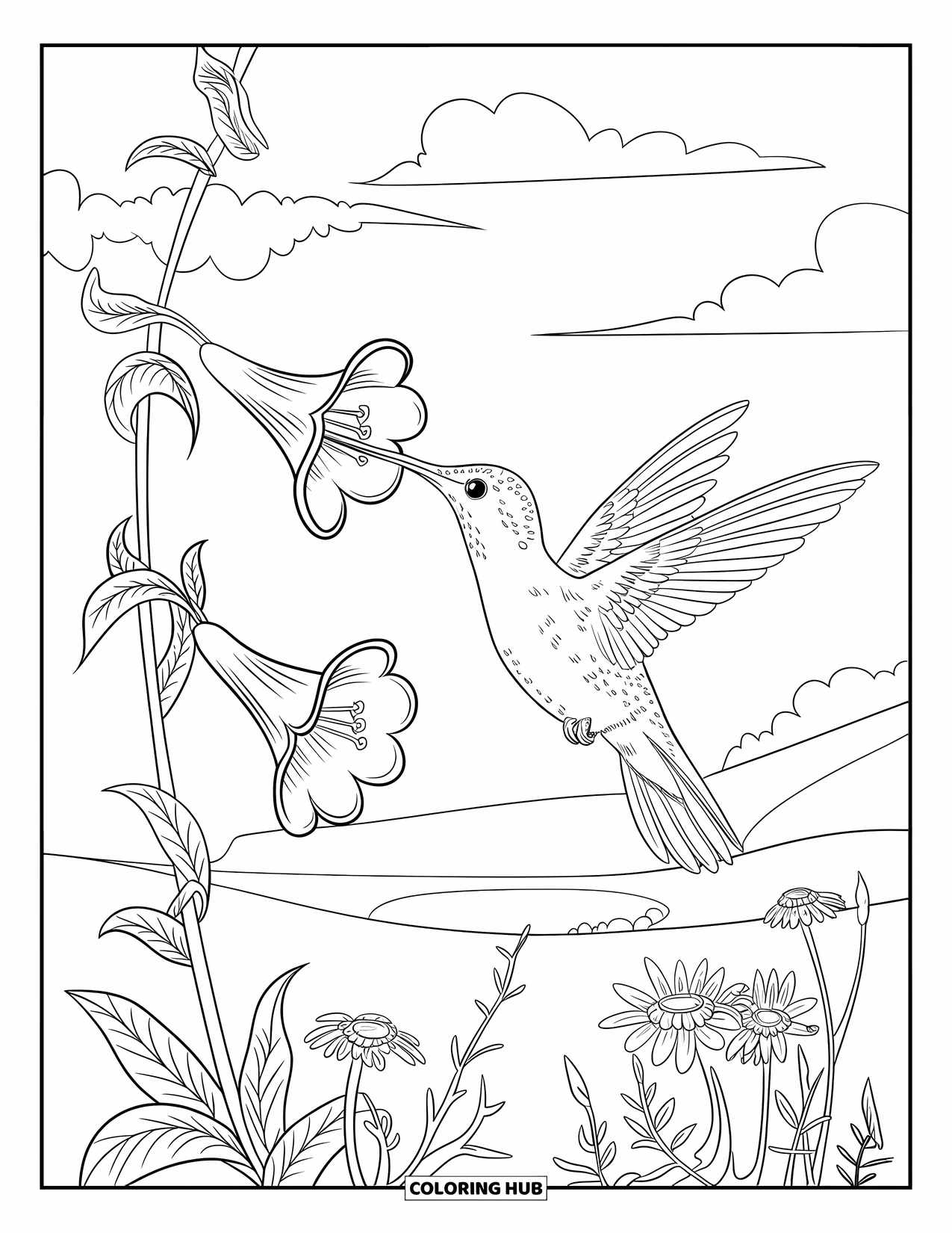Kolibrie Kleurplaat voor Volwassenen: Een kolibrie zweeft in de buurt van bloeiende trompetbloemen onder een kalme, open lucht