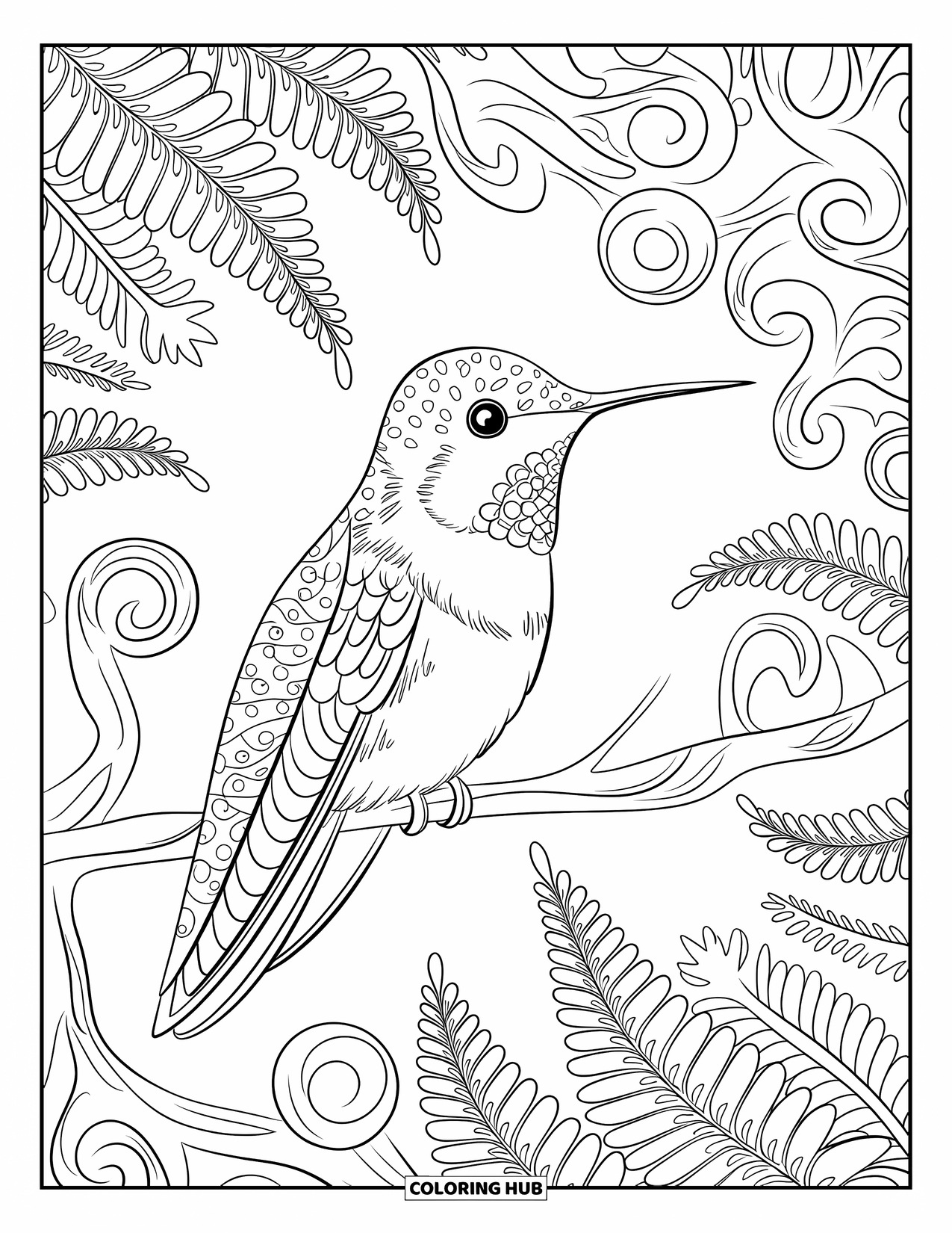Kolibrie Kleurplaat voor Volwassenen: Een kolibrie zit tussen gedetailleerde spiralen en varenachtige ontwerpen