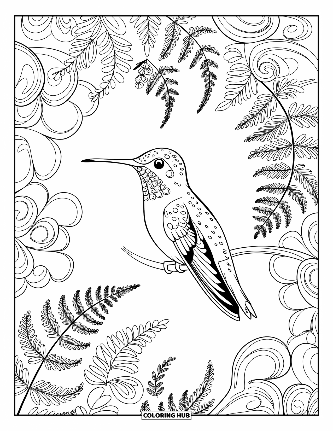Kolibrie Kleurplaat voor Volwassenen: Een kolibrie zit op een tak, omringd door wervelende patronen en bladachtige varens
