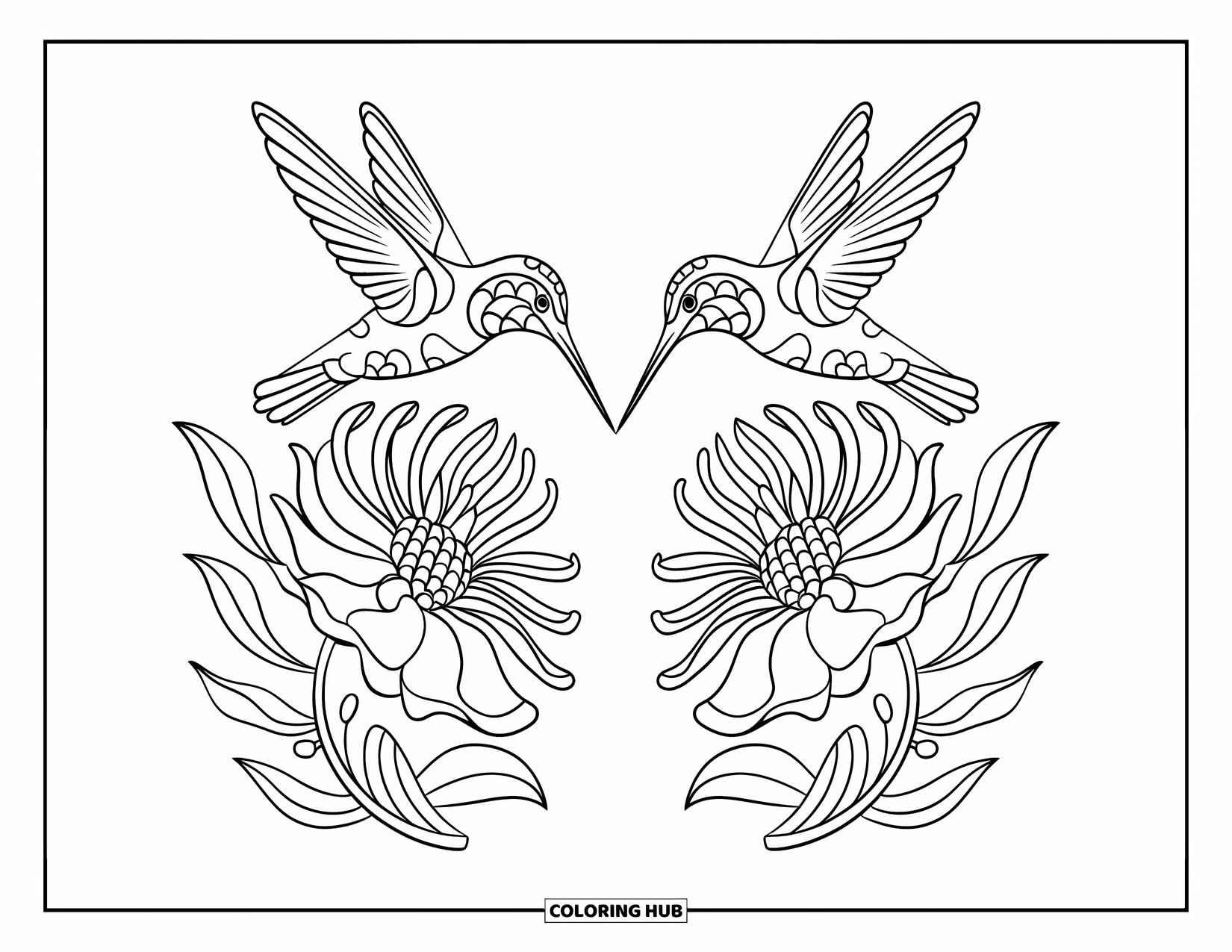 Kolibrie Kleurplaat voor Volwassenen: Een kolibrie zit op een bloem in een symmetrische lay-out in spiegelstijl
