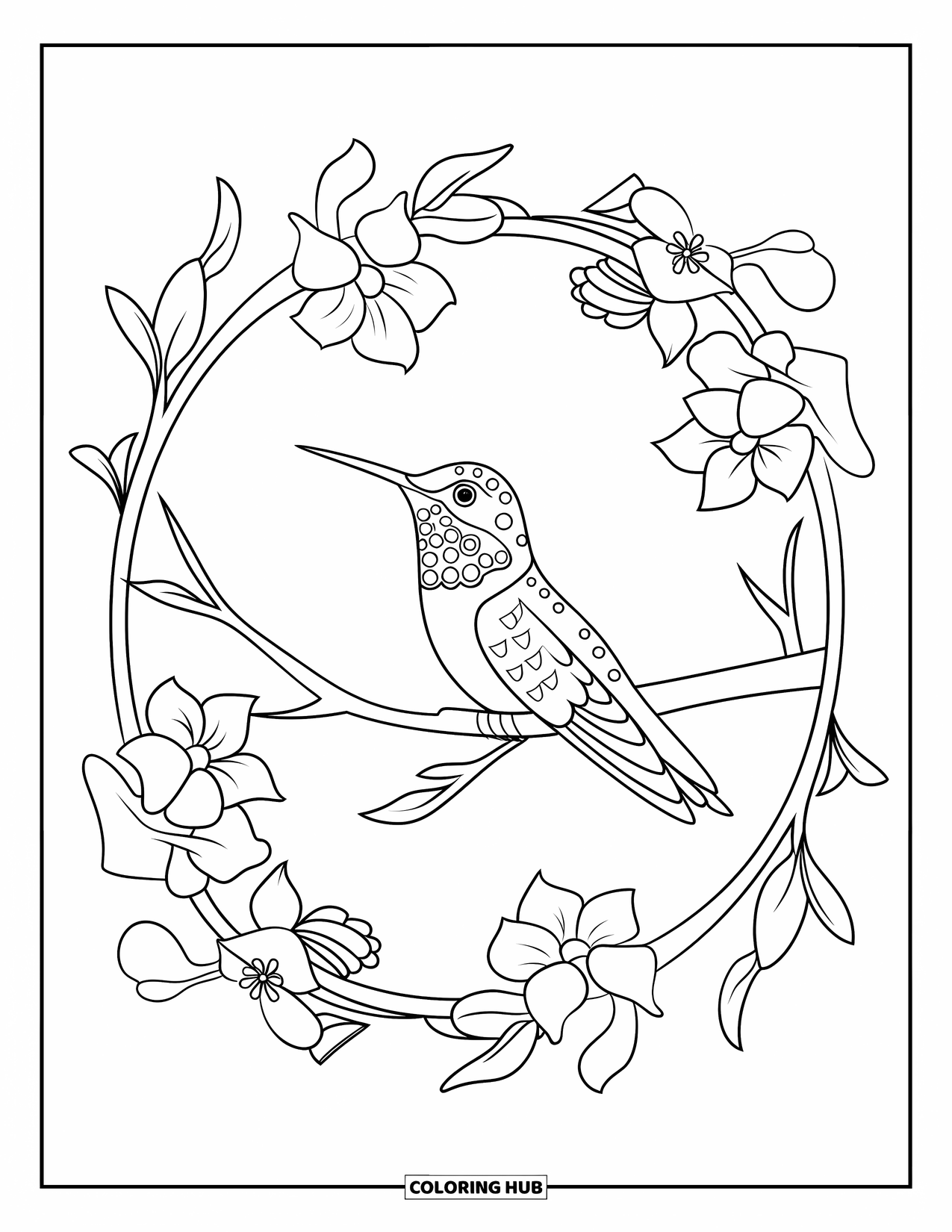 Kolibrie Kleurplaat voor Volwassenen: Een kolibrie zit rustig in een bloemmotief met vredige vibes
