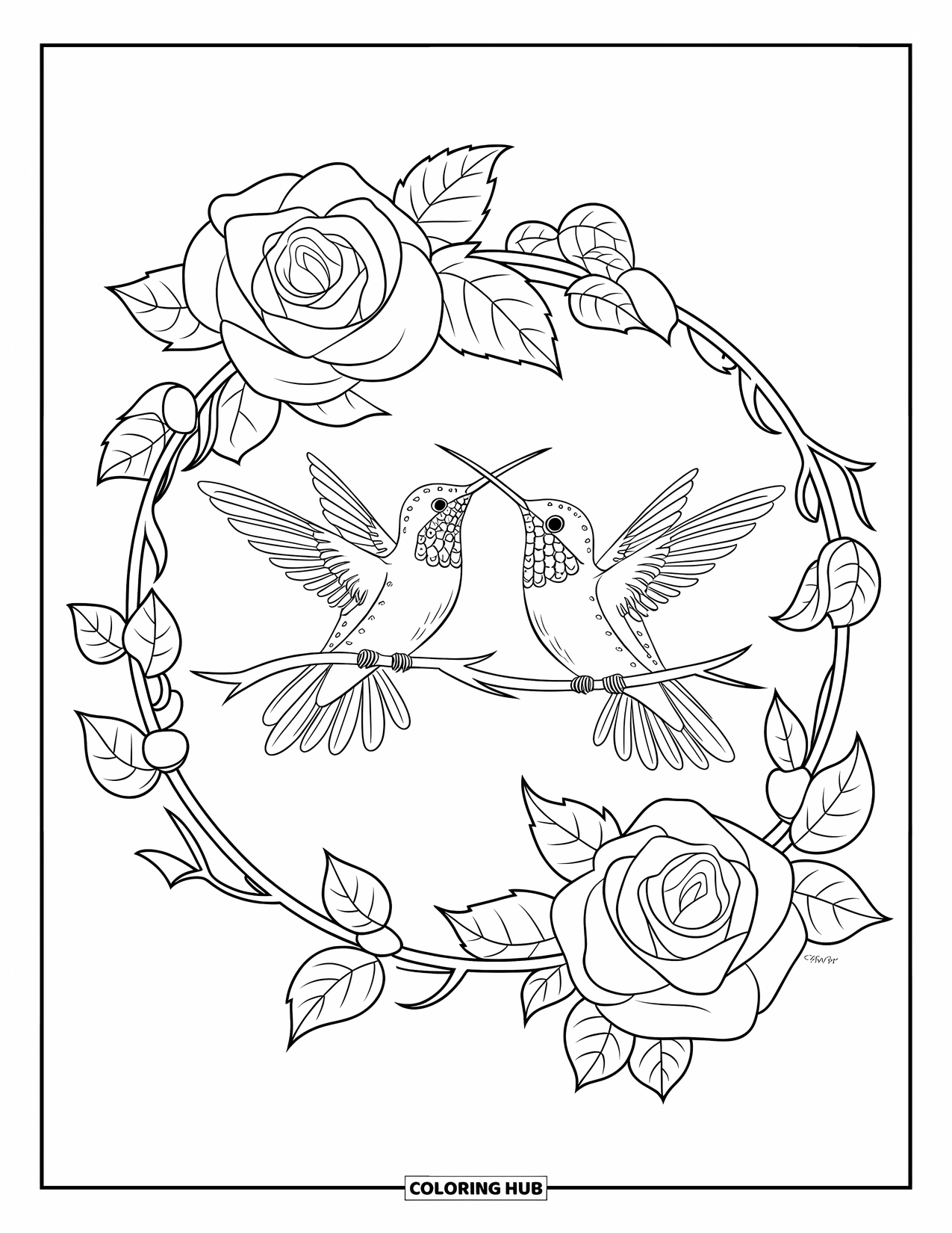Kolibrie Kleurplaat voor Volwassenen: Kolibries zitten tussen rozen en klimop in een ronde, gedetailleerde lijst