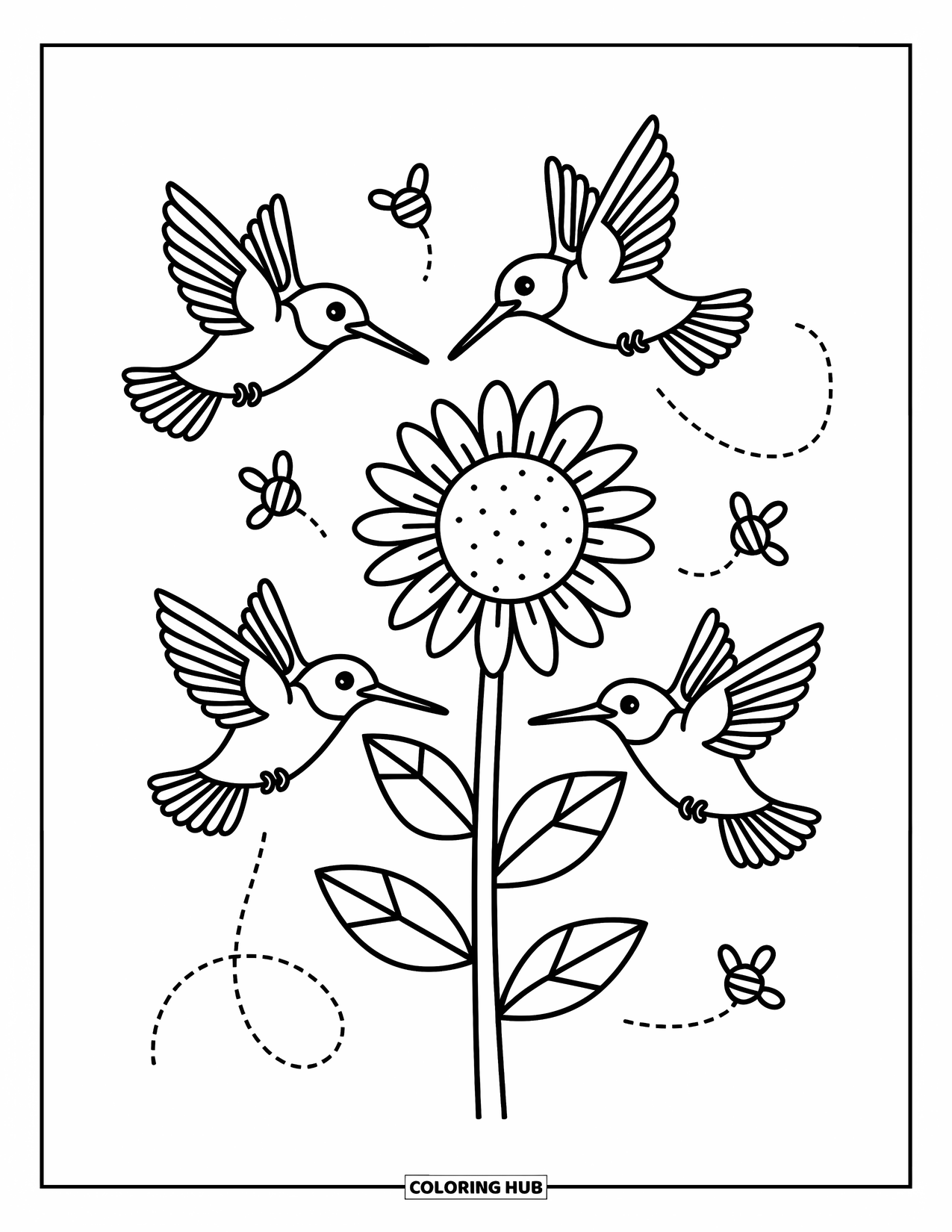 Kolibrie Kleurplaat voor Volwassenen: Drie kolibries spiralen speels rond een lange, vrolijke zonnebloem