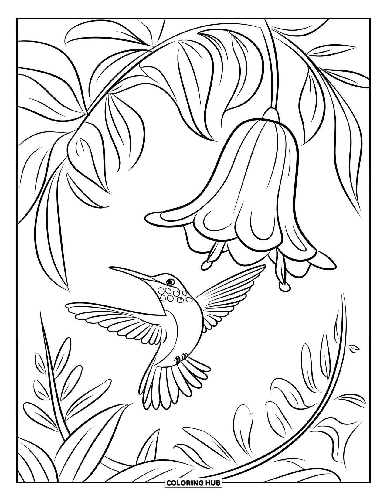 Kolibrie Kleurplaat voor Kinderen: Een heldere kolibrie vliegt rond een hangende bloem omringd door bladeren