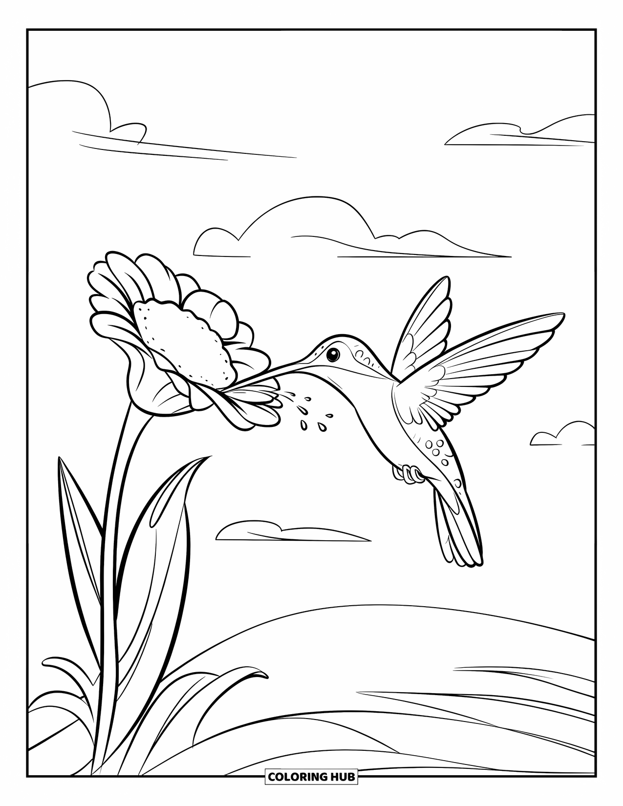 Kolibrie Kleurplaat voor Kinderen: Een kleurrijke kolibrie zweeft boven een grote bloem met wolken in de lucht