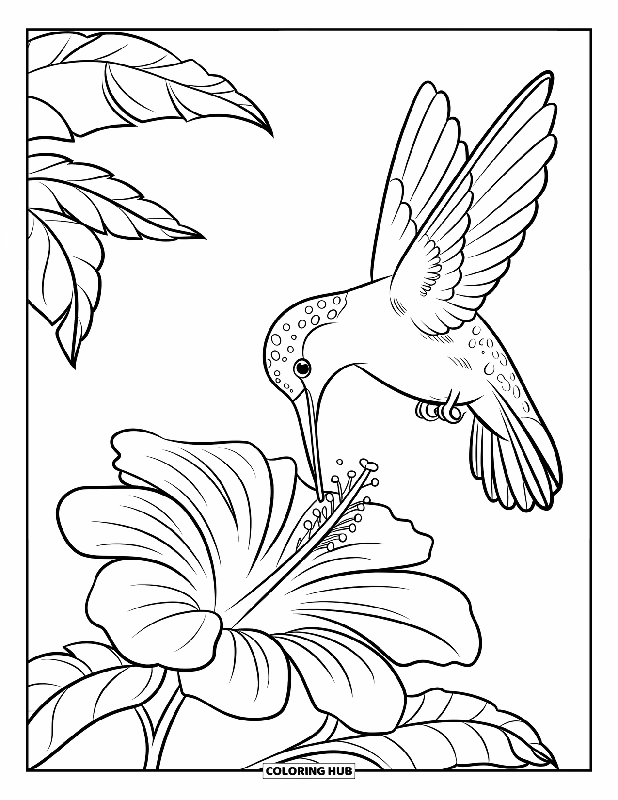 Kolibrie Kleurplaat voor Kinderen: Een kolibrie drinkt uit een grote hibiscusbloem in een vredige close-up weergave