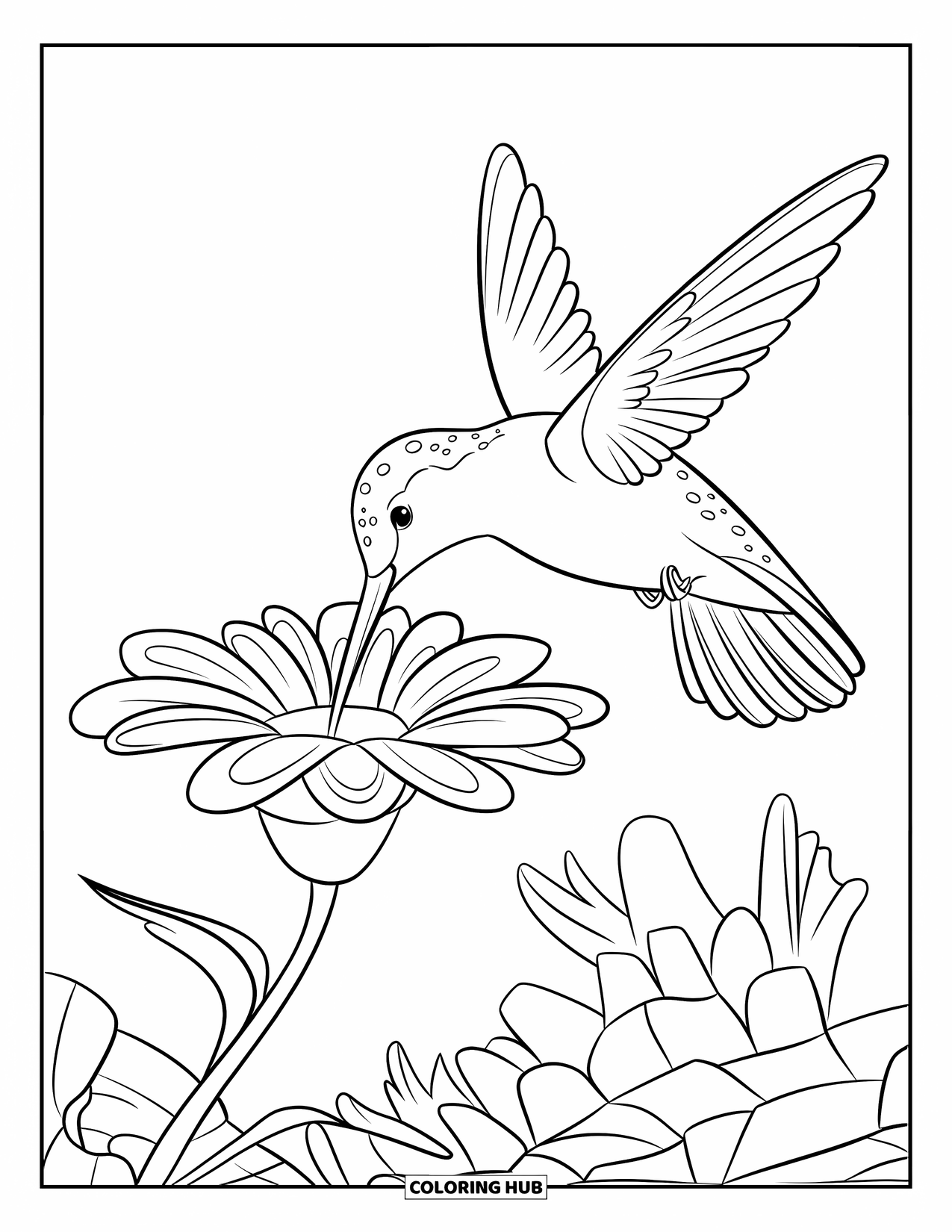 Kolibrie Kleurplaat voor Kinderen: Een kolibrie drinkt uit een grote bloem met een vredige hemel erboven