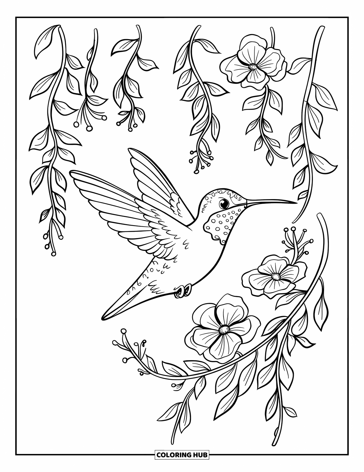 Kolibrie Kleurplaat voor Kinderen: Een kolibrie vliegt met uitgestrekte vleugels tussen een waterval van mooie bloemen