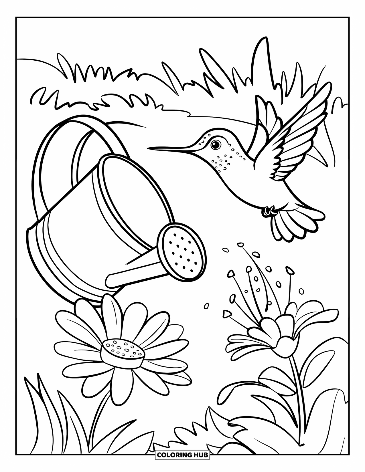 Kolibrie Kleurplaat voor Kinderen: Een kolibrie zweeft in de buurt van een gieter waar één bloem uitsteekt
