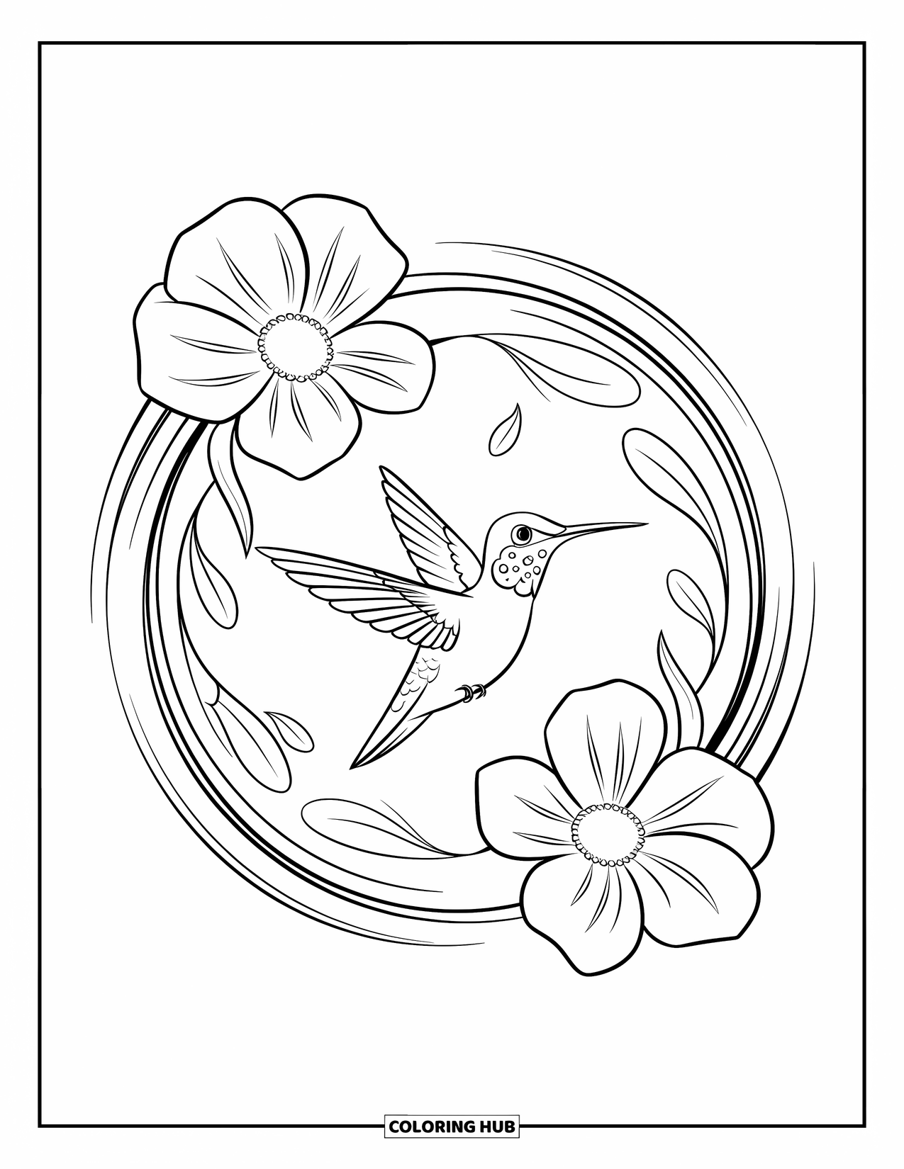 Kolibrie Kleurplaat voor Kinderen: Een kolibrie glijdt door een bloemencirkel met luchtige lijnen die ronddansen