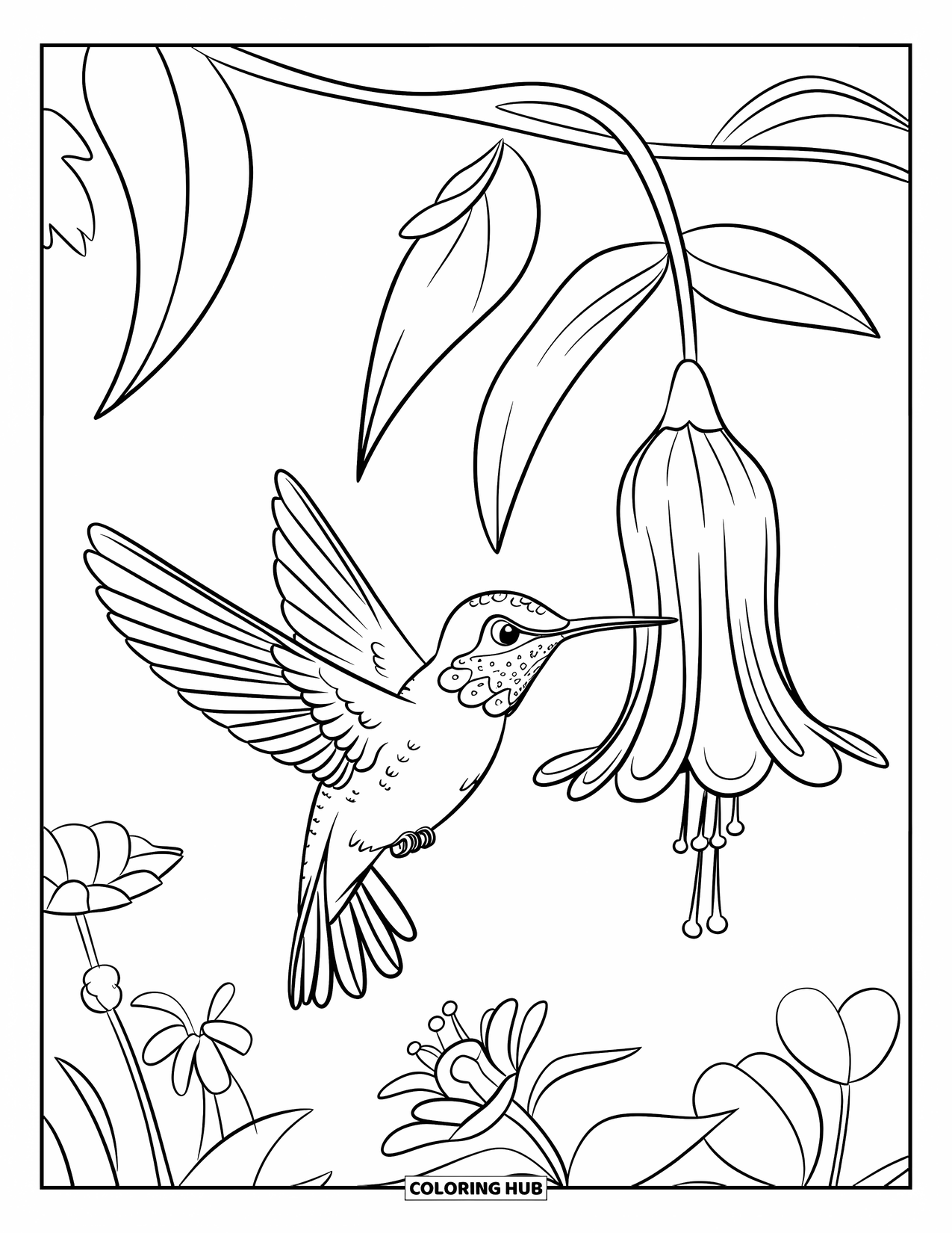 Kolibrie Kleurplaat voor Kinderen: Een kolibrie zweeft vlakbij een bloem, met wijd gespreide vleugels en een snavel klaar