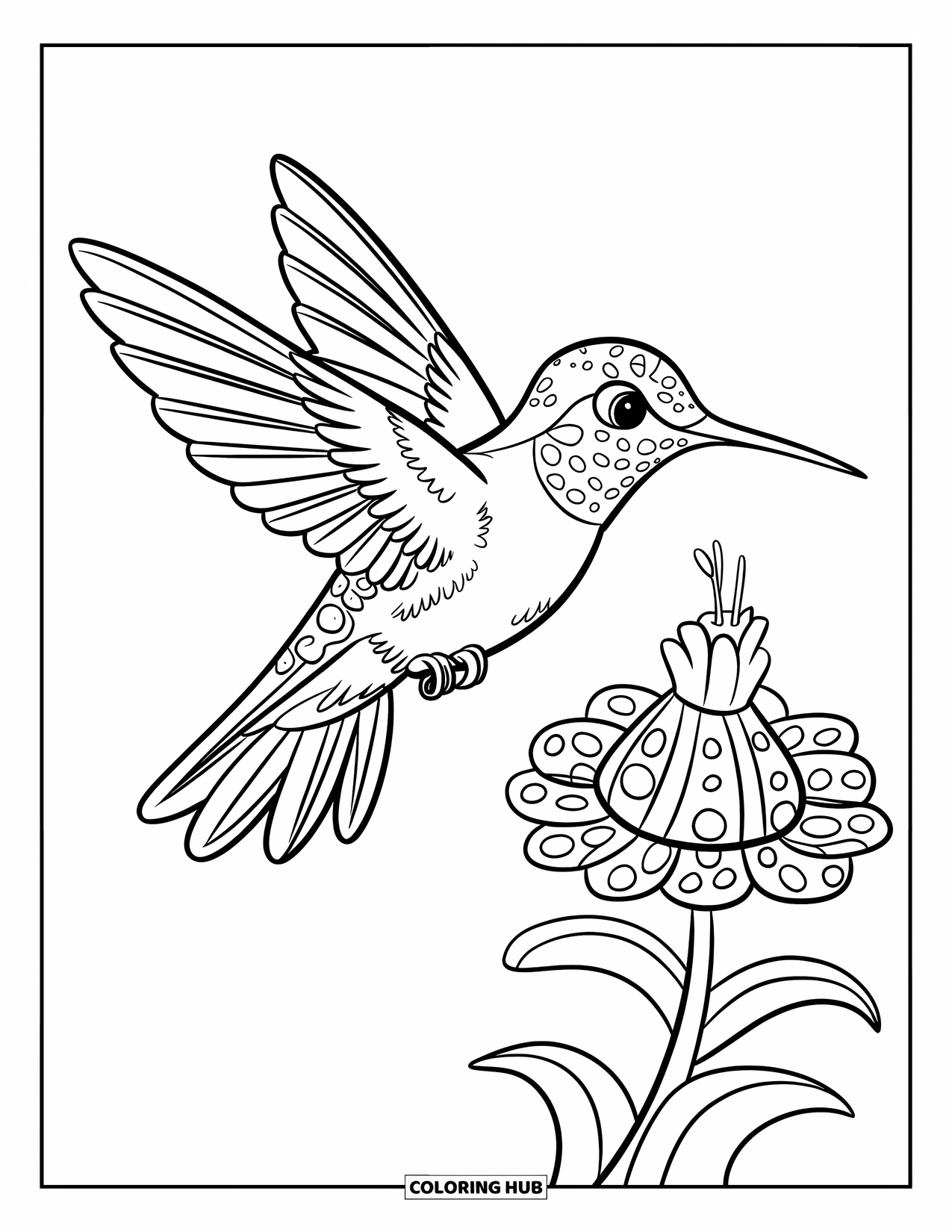 Kolibrie Kleurplaat voor Kinderen: Een kolibrie zweeft met wijd gespreide vleugels boven een gestreepte bloem