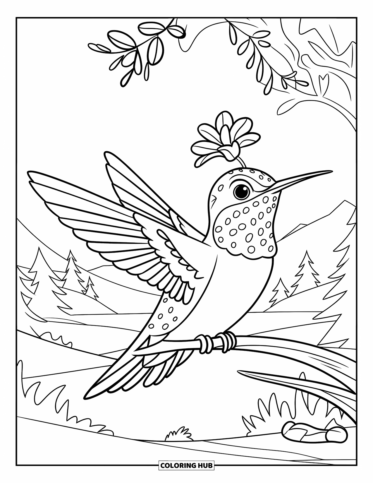 Kolibrie Kleurplaat voor Kinderen: Een kolibrie zit rustig met een bloem die boven zijn hoofd zweeft