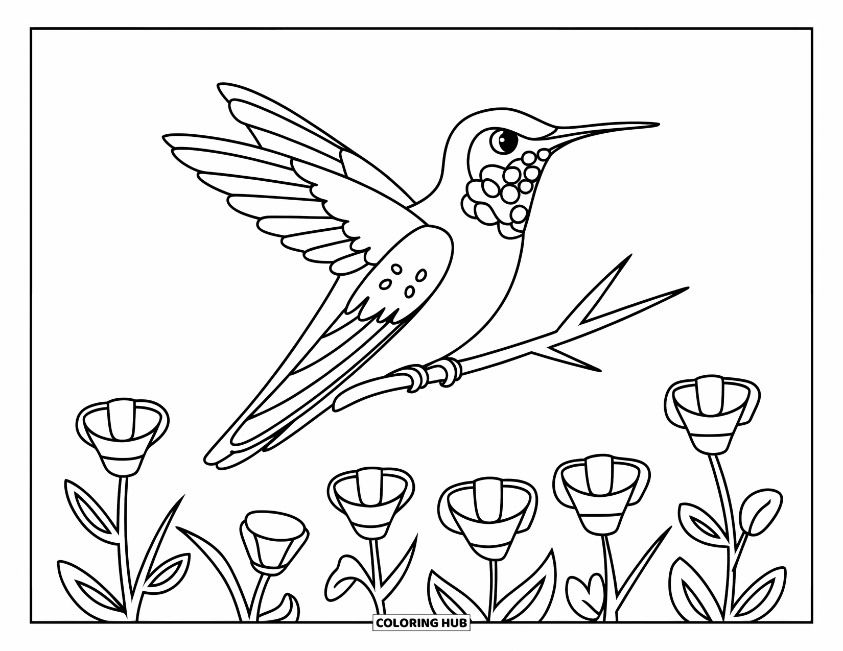 Kolibrie Kleurplaat voor Kinderen: Een kolibrie zit rustig op een takje boven wilde bloemen en open ruimte