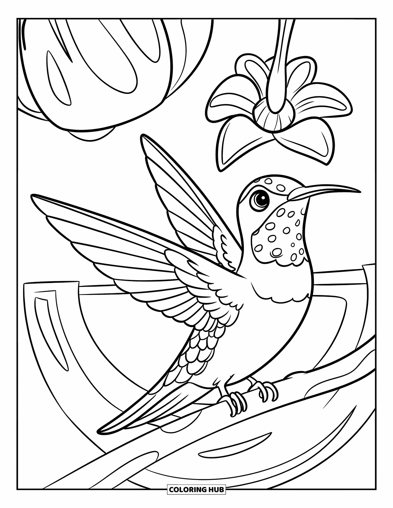 Kolibrie Kleurplaat voor Kinderen: Een kolibrie rust op een tak met een kleine bloem erboven