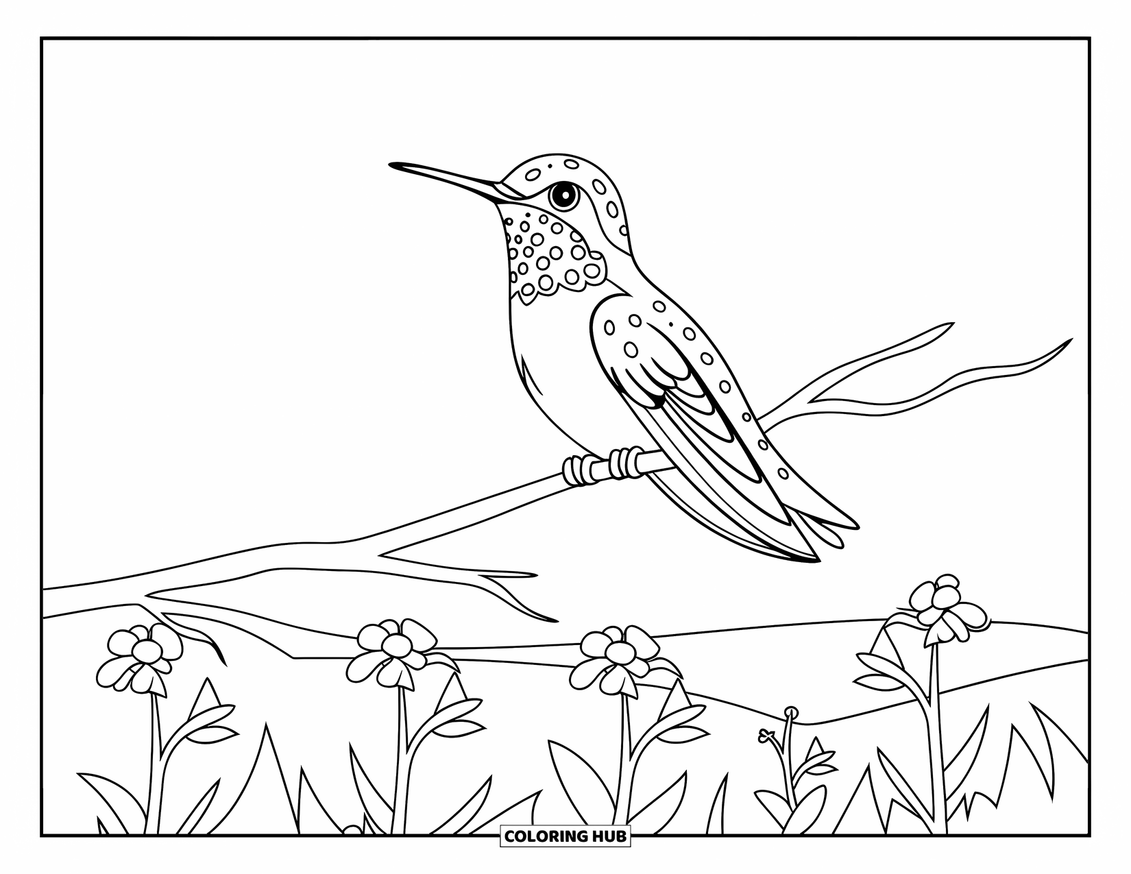 Kolibrie Kleurplaat voor Kinderen: Een kolibrie rust op een takje boven een stukje zoete kleine wilde bloemen