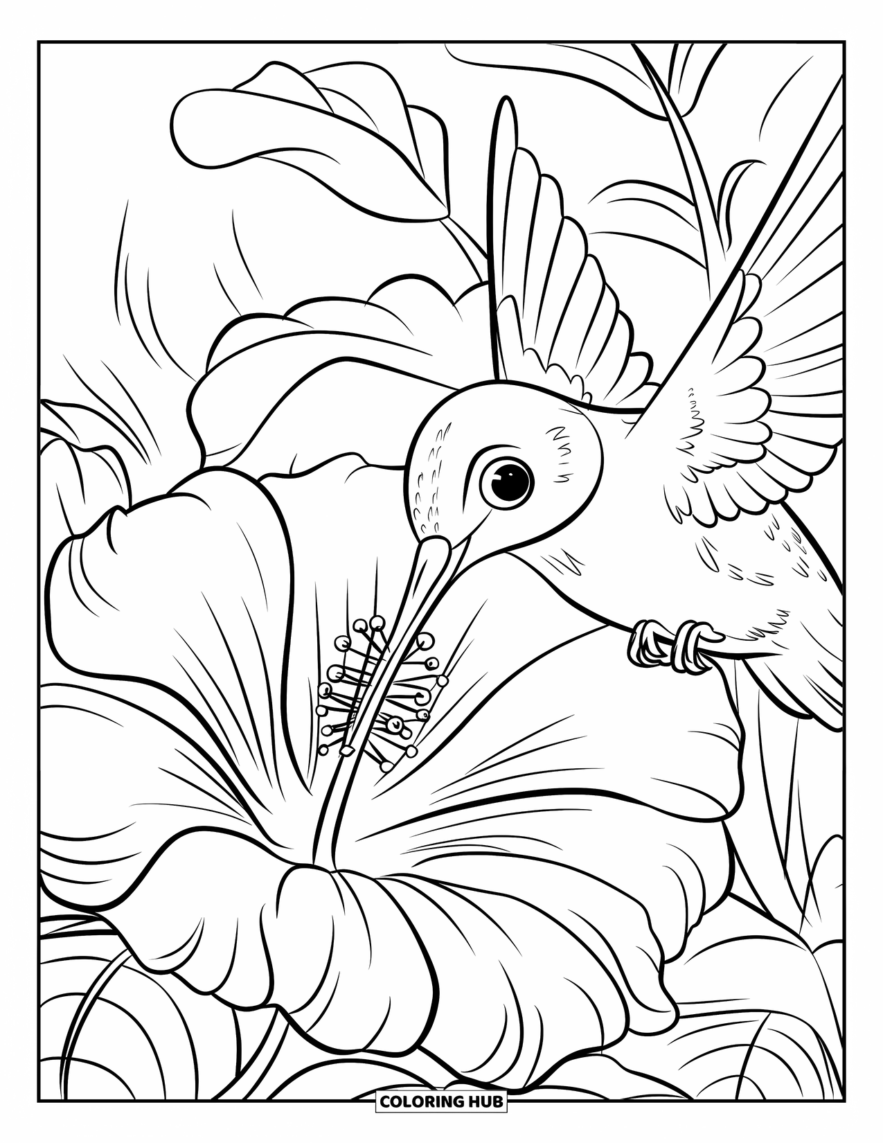 Kolibrie Kleurplaat voor Kinderen: Een kolibrie drinkt nectar uit een gedetailleerde hibiscus omringd door weelderige bladeren