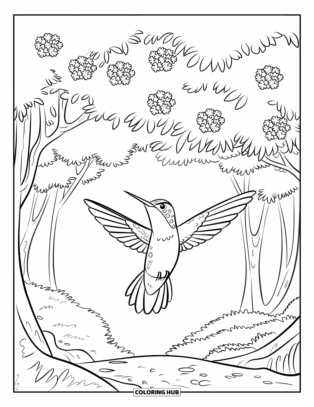 Kolibrie Kleurplaat voor Kinderen: Een kolibrie met open vleugels zweeft onder grote bosbladeren en verspreide bloemen