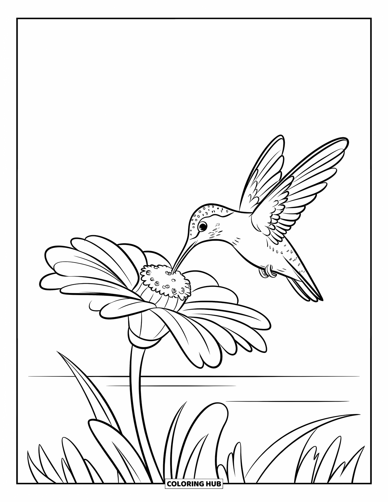 Kolibrie Kleurplaat voor Kinderen: Een klein vogeltje drinkt nectar uit een grote bloem onder een rustige hemel