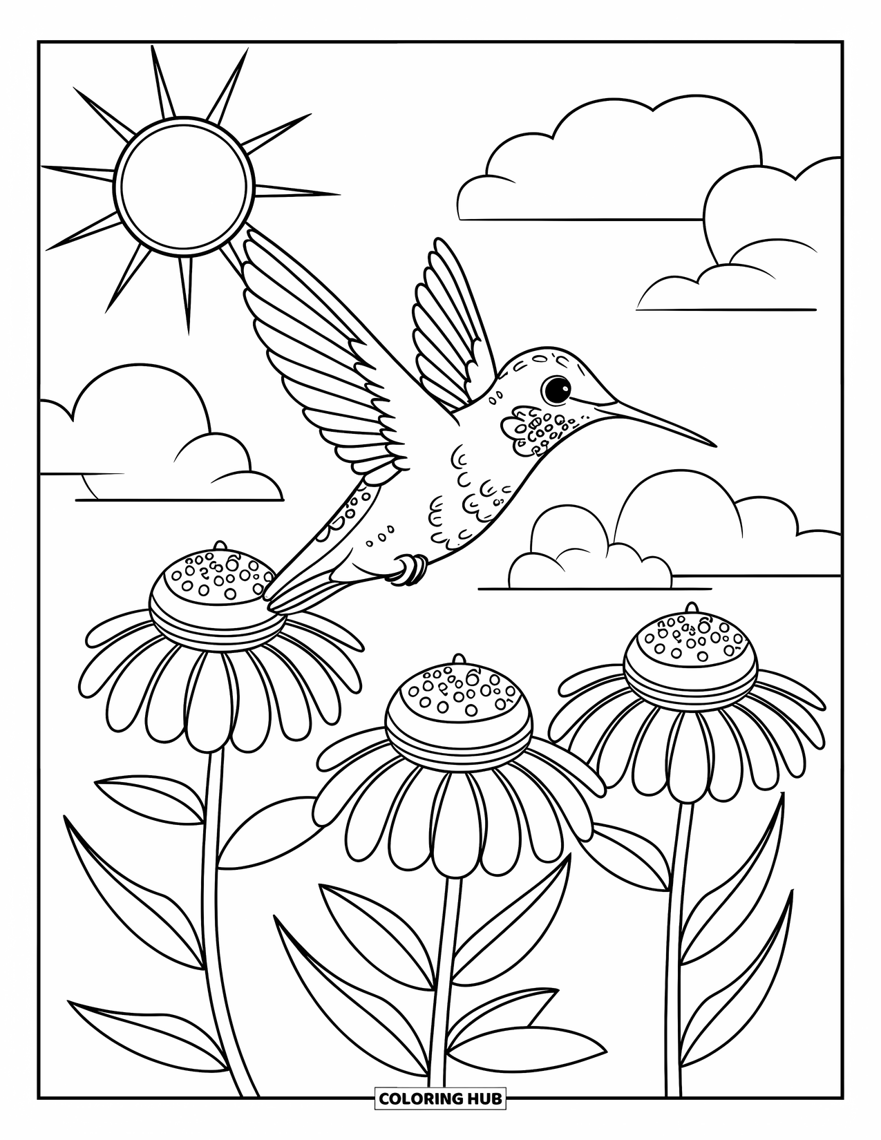 Kolibrie Kleurplaat voor Kinderen: Een glanzende kolibrie zweeft boven drie kleurrijke bloemen in de zon