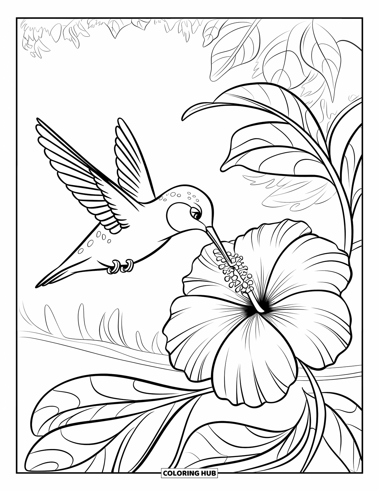 Kolibrie Kleurplaat voor Kinderen: Een klein vogeltje drinkt zachtjes uit een hibiscus terwijl het in de buurt van bosgroen zit