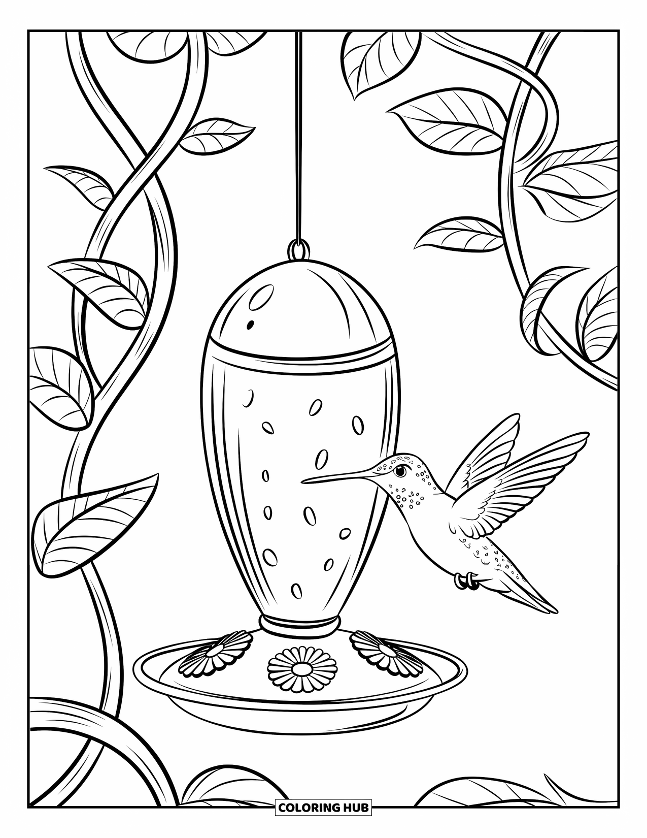 Kolibrie Kleurplaat voor Kinderen: Een klein vogeltje zweeft in de buurt van een voederhuisje met kronkelende wijnranken en brede bladeren