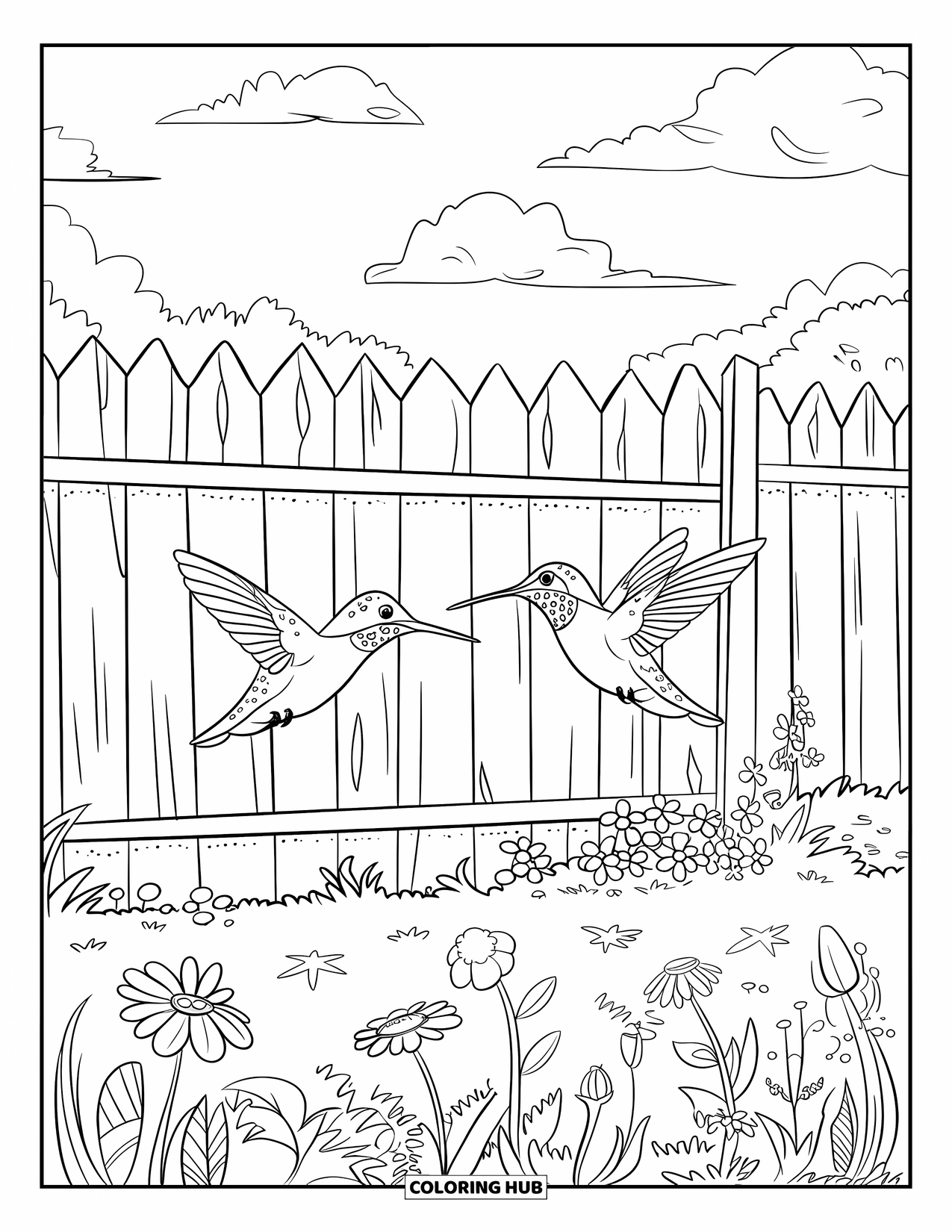 Kolibrie Kleurplaat voor Kinderen: Kolibries verkennen een bloeiende tuinomheining onder een heldere hemel