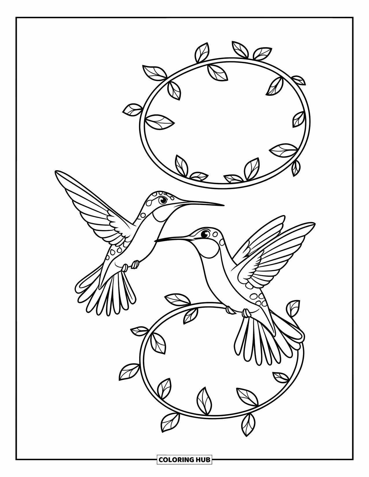 Kolibrie Kleurplaat voor Kinderen: Kolibries wervelen rond een spiraalvormige wijnrank met slanke vleugels en puntige snavels