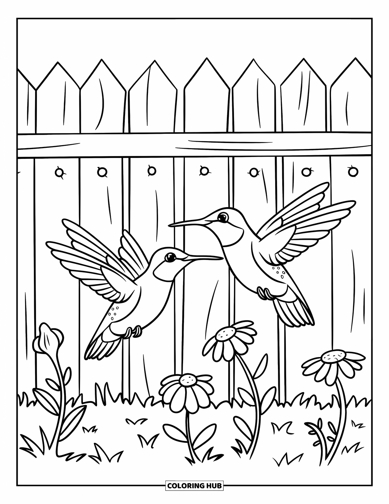 Kolibrie Kleurplaat voor Kinderen: Twee kolibries vliegen in de buurt van een rustiek hek bedekt met bloesems