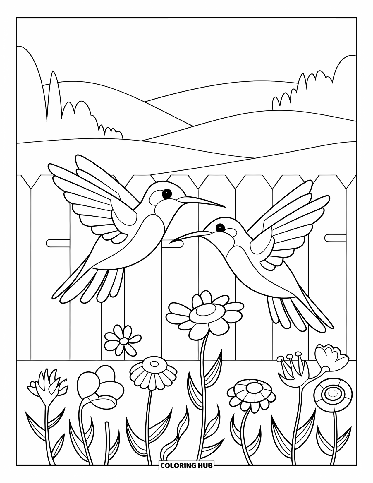 Kolibrie Kleurplaat voor Kinderen: Twee kolibries vliegen in de buurt van een houten hek omzoomd met bloemen