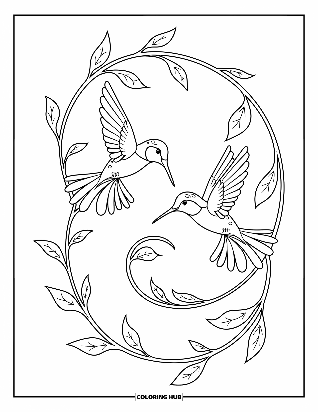 Kolibrie Kleurplaat voor Kinderen: Twee kolibries wervelen rond een spiraalvormige wijnrank bedekt met bladeren en kleine knoppen