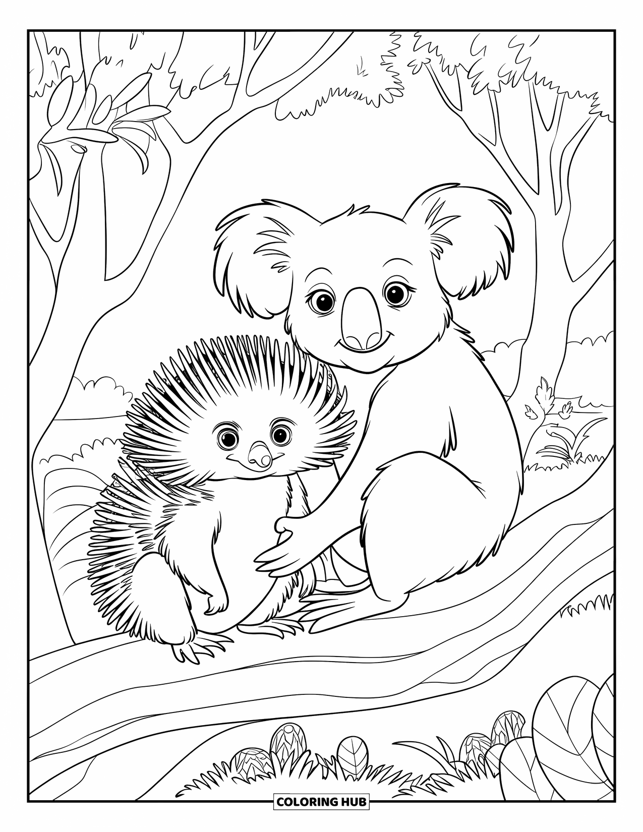Kolorowanka z koalą dla dzieci: Koala i kolczatka relaksują się w cichej dziczy, otoczone rodzimą roślinnością
