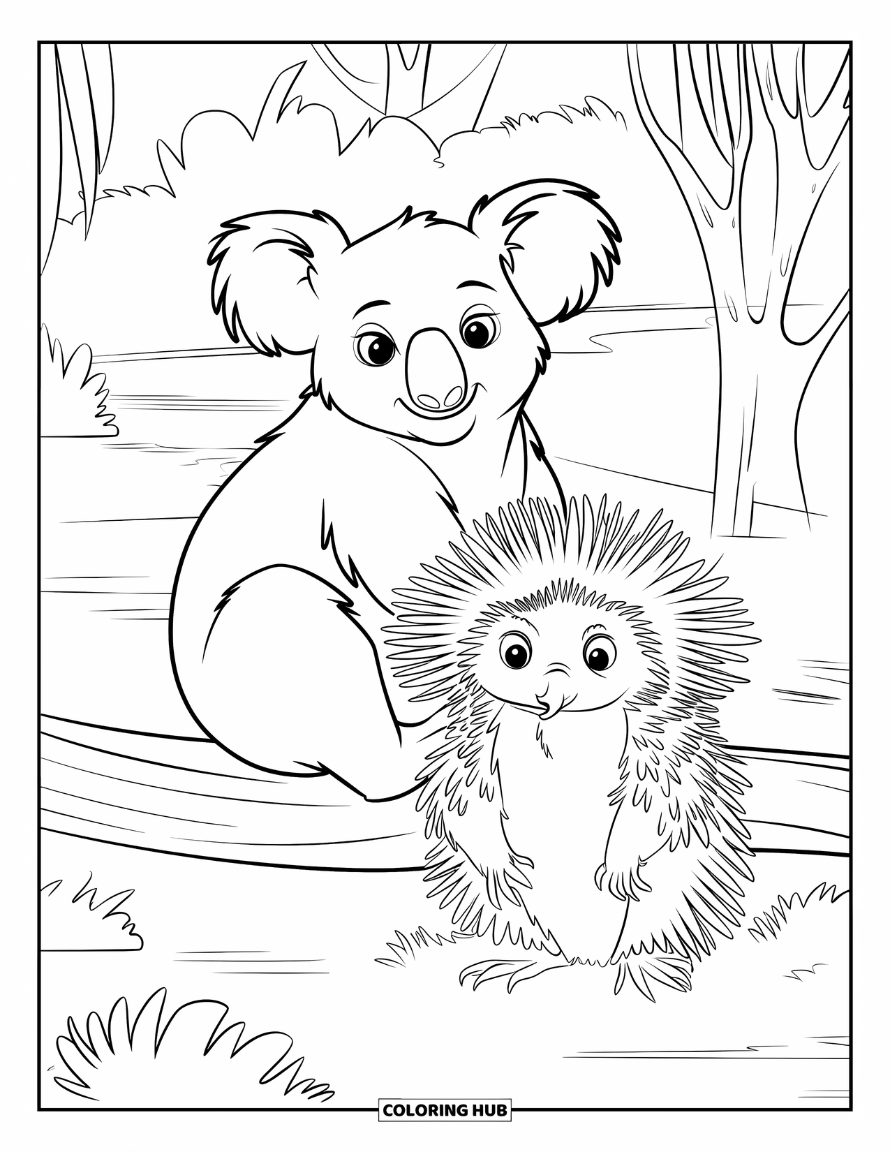 Kolorowanka z koalą dla dzieci: Koala i kolczatka odpoczywają razem w australijskim środowisku dzikiej przyrody, wypełnionym drzewami