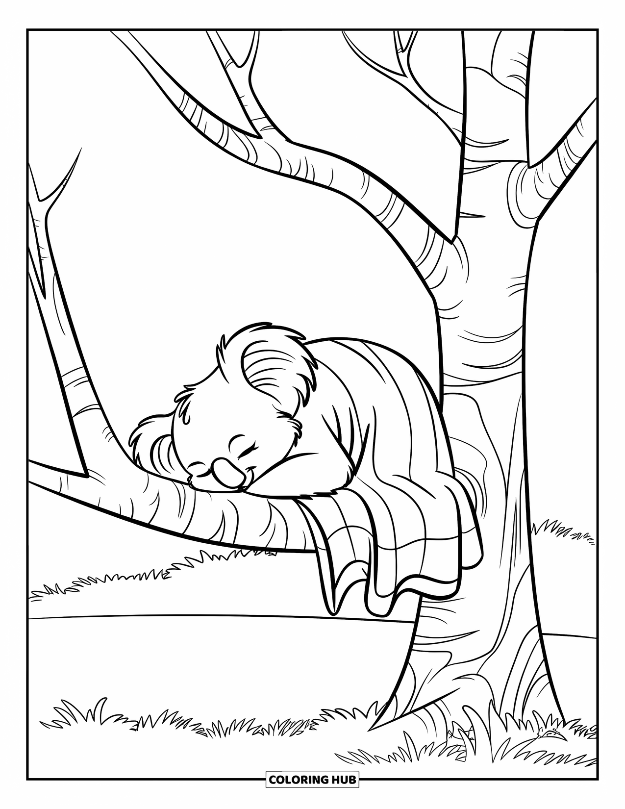 Kolorowanka z koalą dla dzieci: Zrelaksowana koala przysypia na wysokiej gałęzi drzewa, z minimalną ilością gałęzi wokół