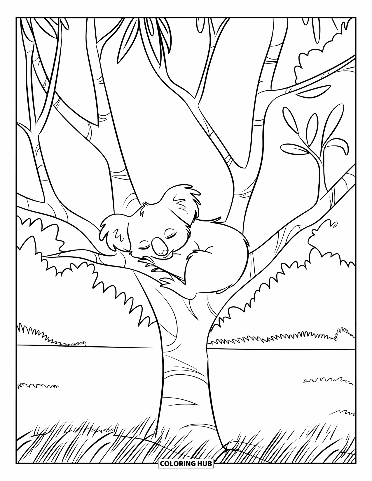Kolorowanka z koalą dla dzieci: Śpiąca koala ucina sobie drzemkę na gałęzi drzewa, odpoczywając spokojnie nad zielonym polem