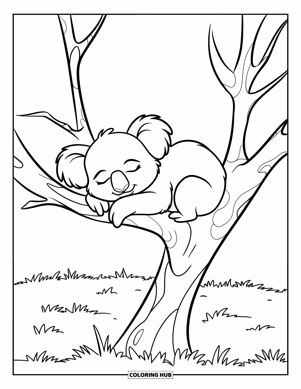 Kolorowanka z koalą dla dzieci: Drzemiąca koala zwija się w kłębek na solidnej gałęzi, ciesząc się spokojną bryzą