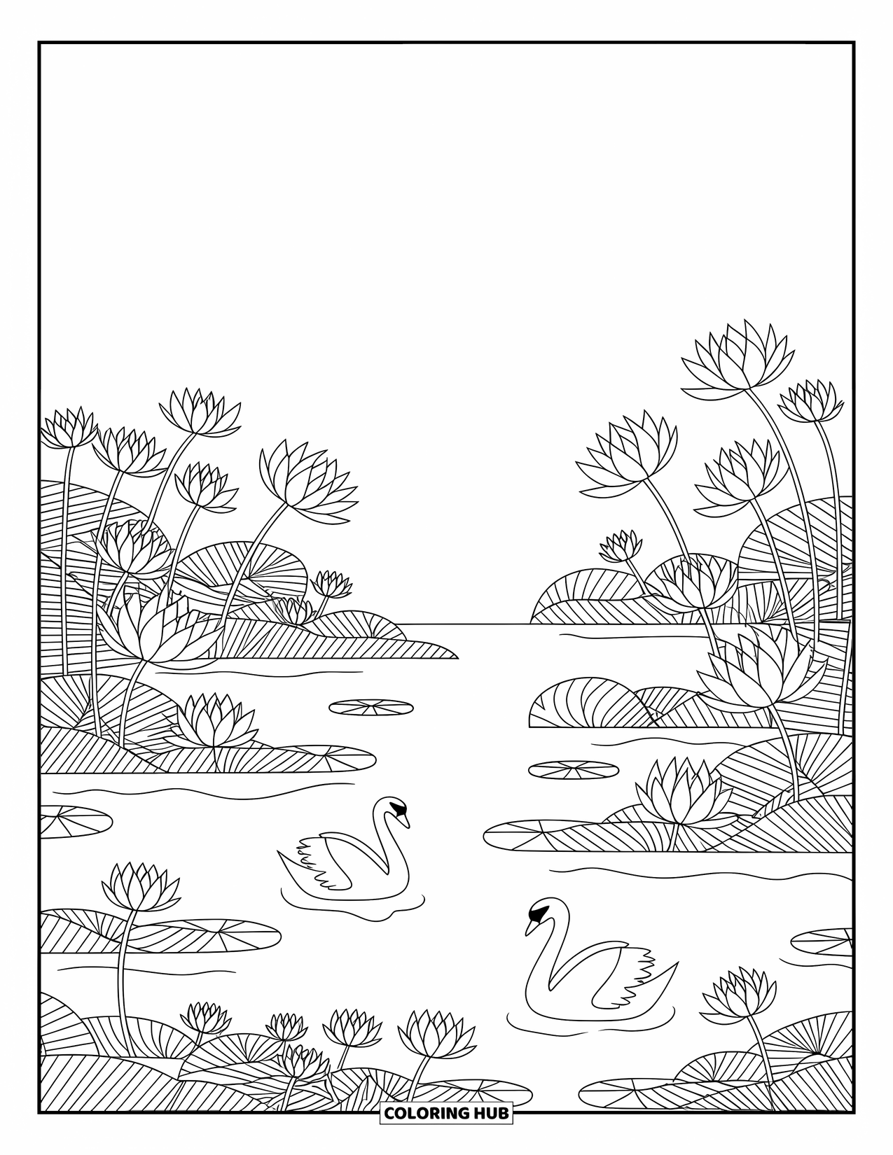 Kleurplaat Meer voor volwassenen: Een meer met lotusbloemen, waterlelies en sierlijk glijdende zwanen