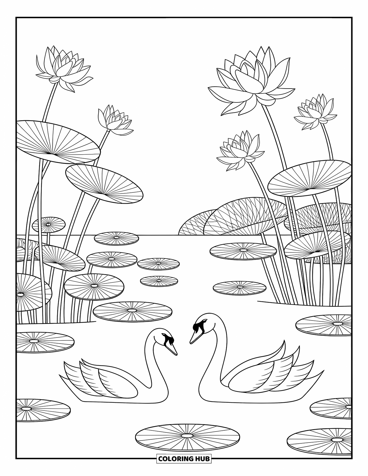Kleurplaat Meer voor volwassenen: Een sereen meer met zwanen, lotusbloemen en waterlelies