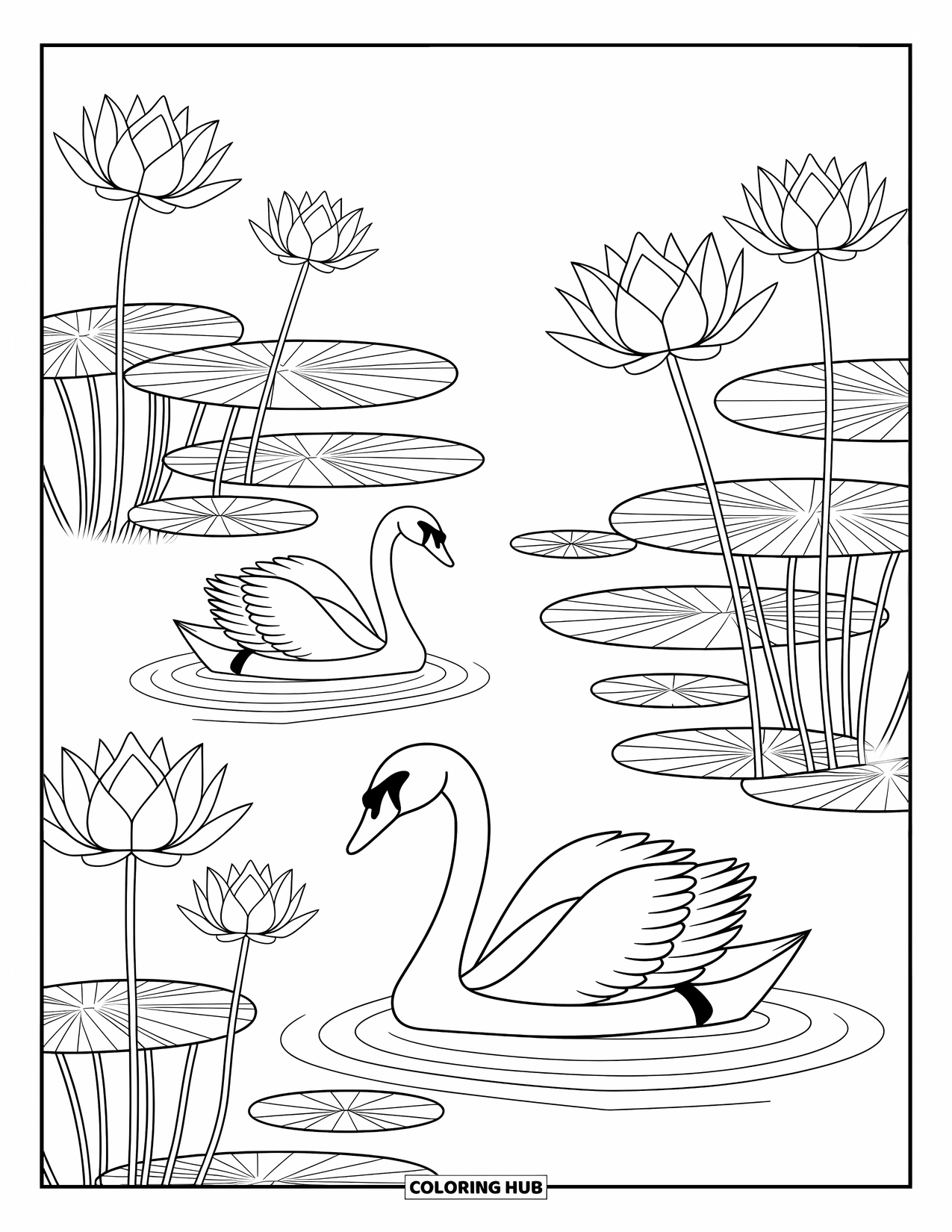 Kleurplaat Meer voor volwassenen: Een rustig meer met zwanen, lotusbloemen en ingewikkelde patronen